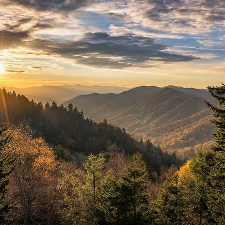 City Bear, 2Br, Pool, Spa, Downtown Gatlinburg, Sleeps 6 Lägenhet Exteriör bild