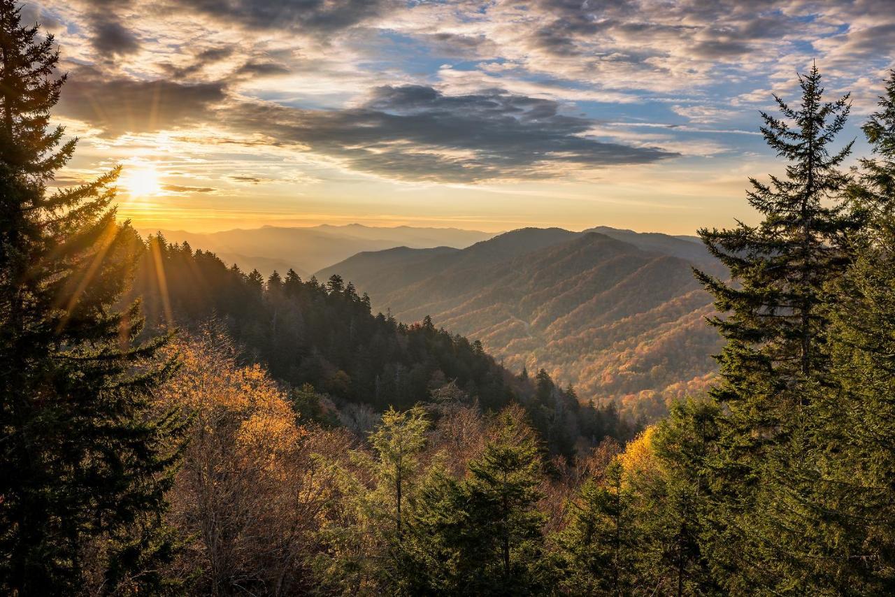 City Bear, 2Br, Pool, Spa, Downtown Gatlinburg, Sleeps 6 Lägenhet Exteriör bild